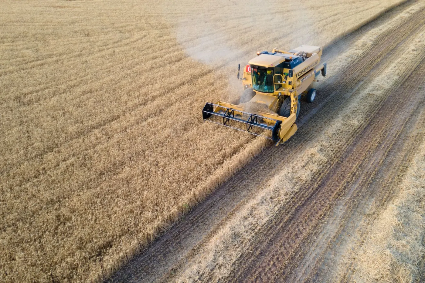 A combine harvesting a field, from above